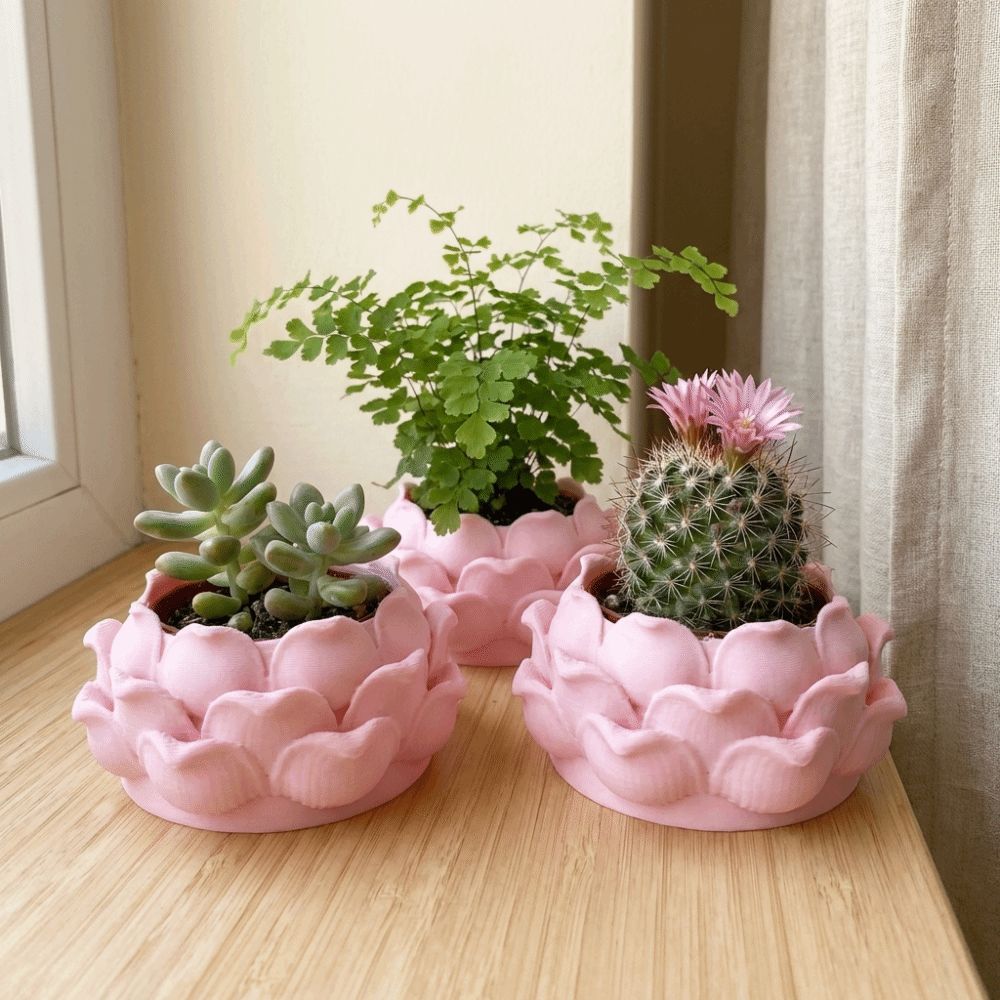 Echeveria Succulent - Lotus Shaped Succulent Plant Pot 3D