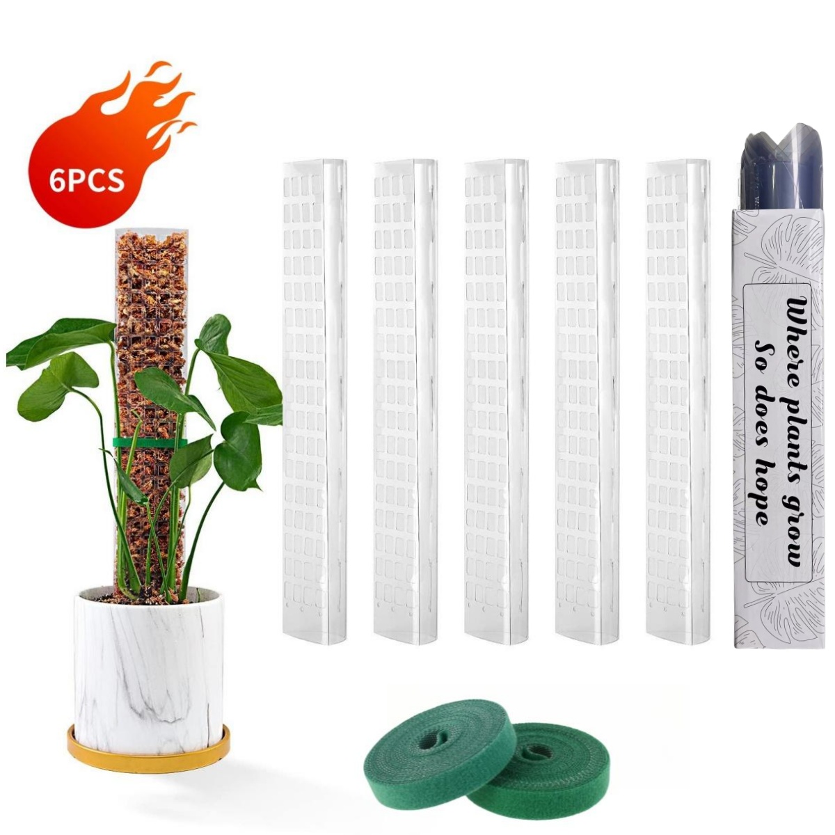 Moss Poles Plants Plant Suppor - Echeveria Succulent avis et prix