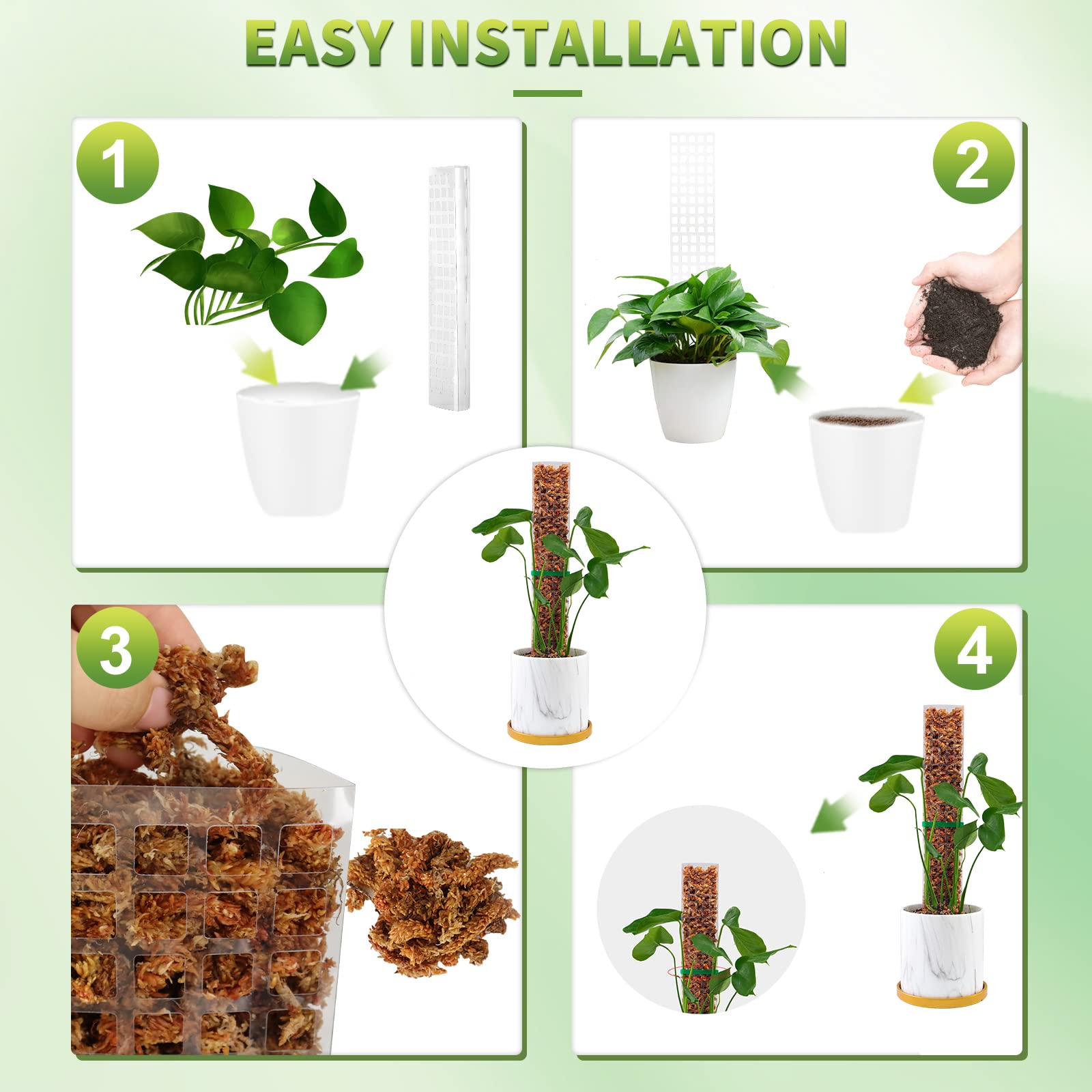 Moss Poles Plants Plant Suppor - Echeveria Succulent avis et prix
