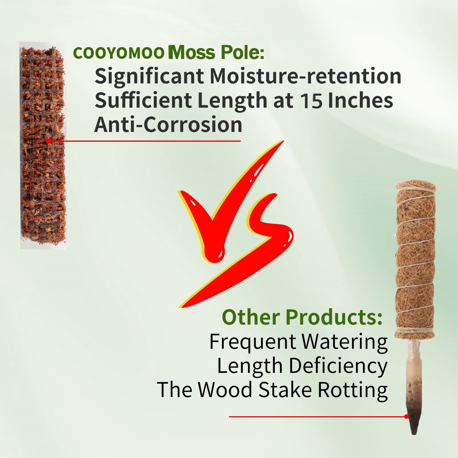 Moss Poles Plants Plant Suppor - Echeveria Succulent avis et prix