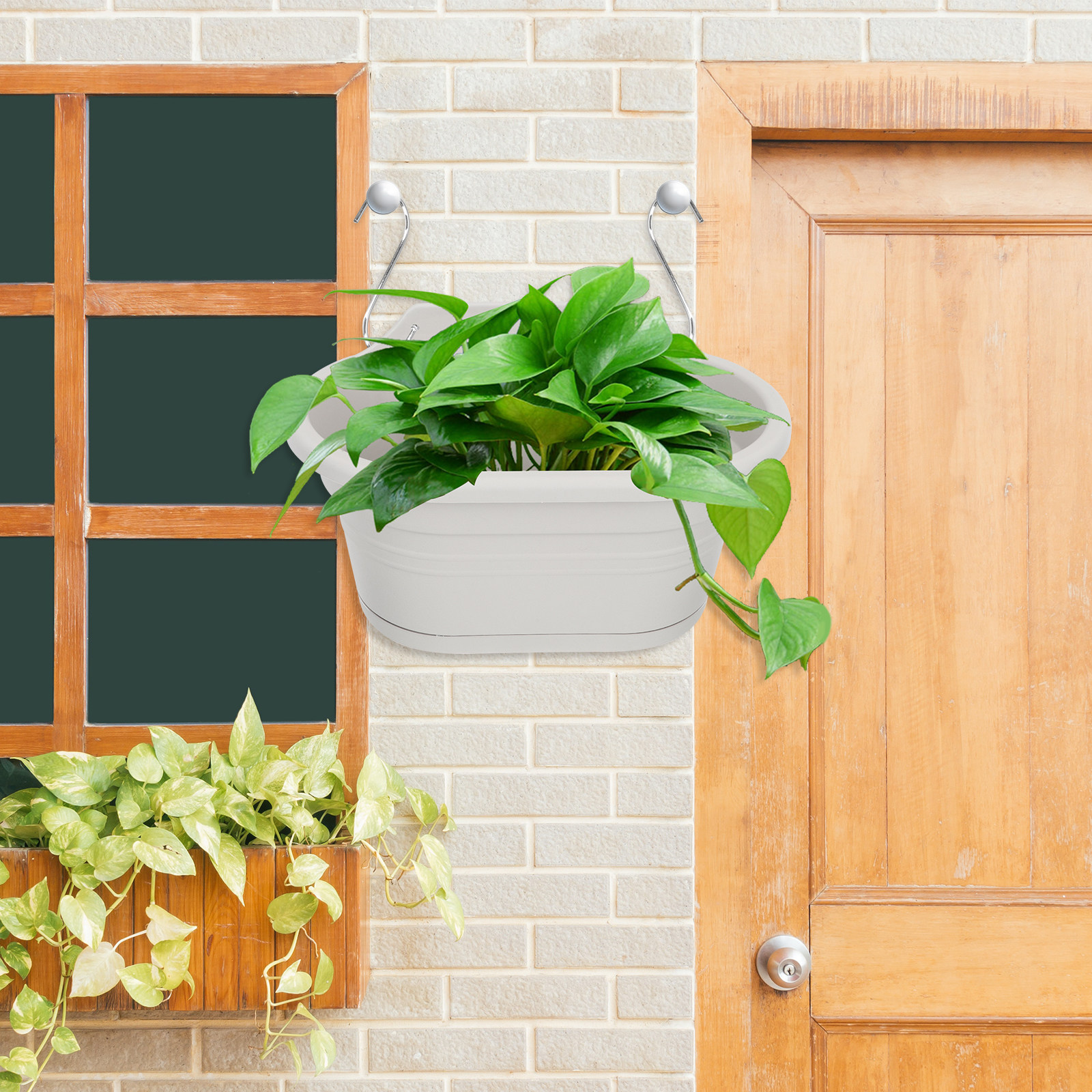 1Set Wall Hanging Flower Pot S - Spider Plant Hanging avis et prix
