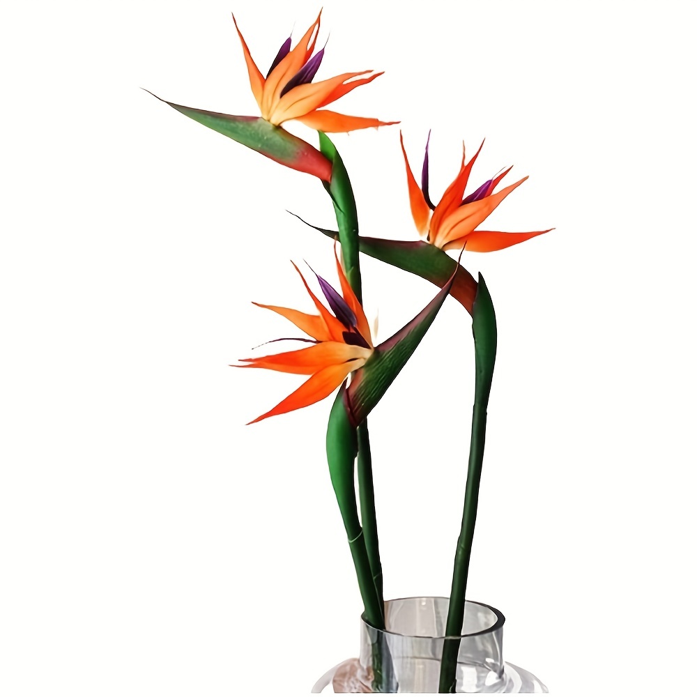 3pcs Artificial Bird Of Paradi - Bird Paradise Strelitzia avis et prix
