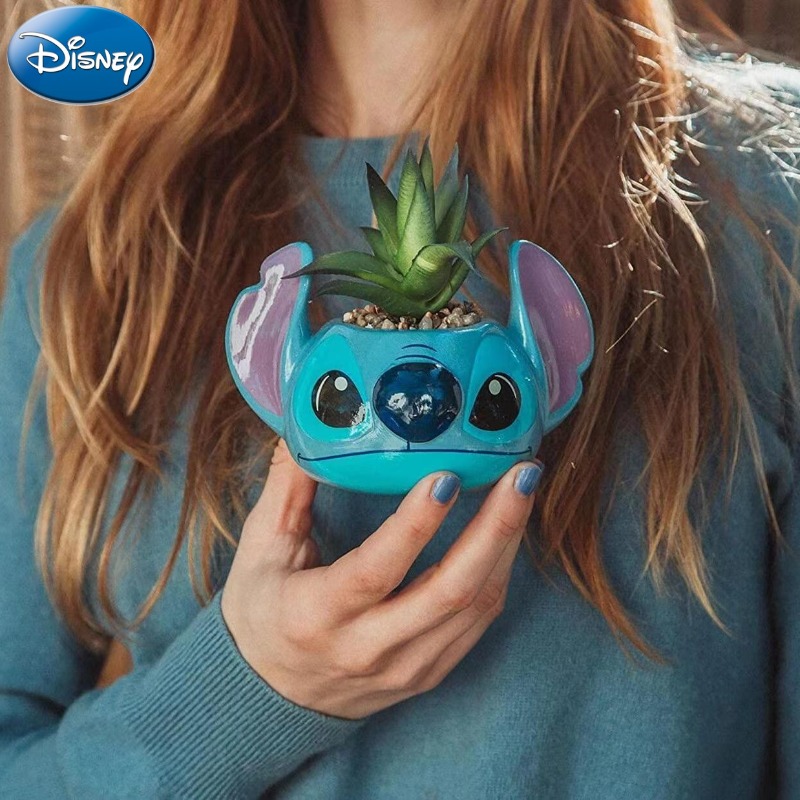Disney Stitch Decorations Cute - Echeveria Succulent avis et prix