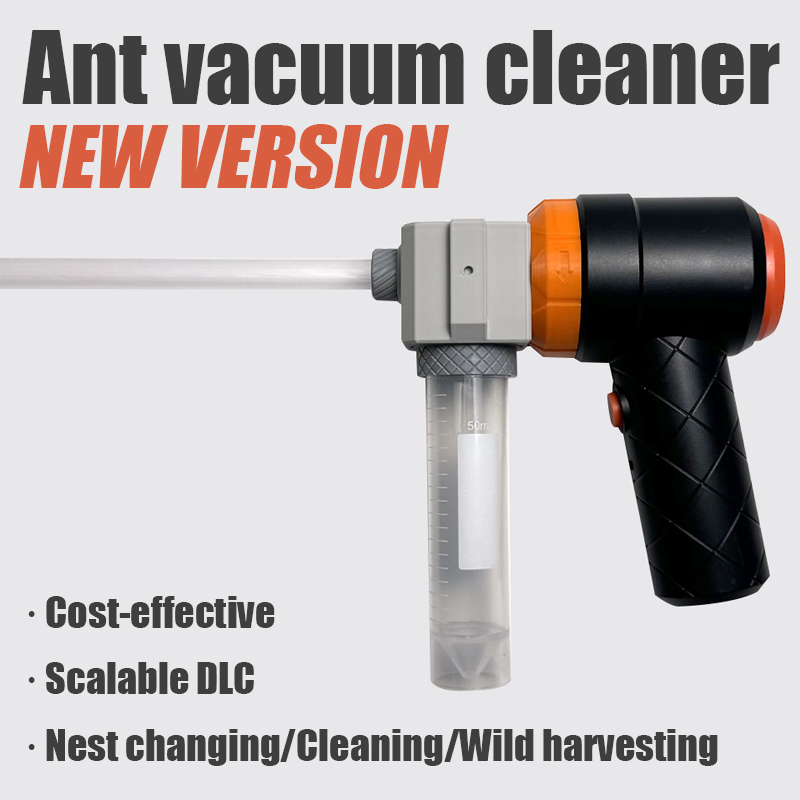 Ant Farm Collection Tool Ants  - Begonia Rex avis et prix