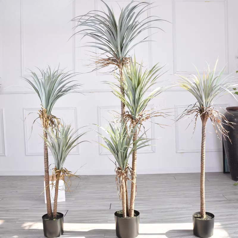 Dragon Blood Yucca Artificial  - Dracaena Marginata avis et prix