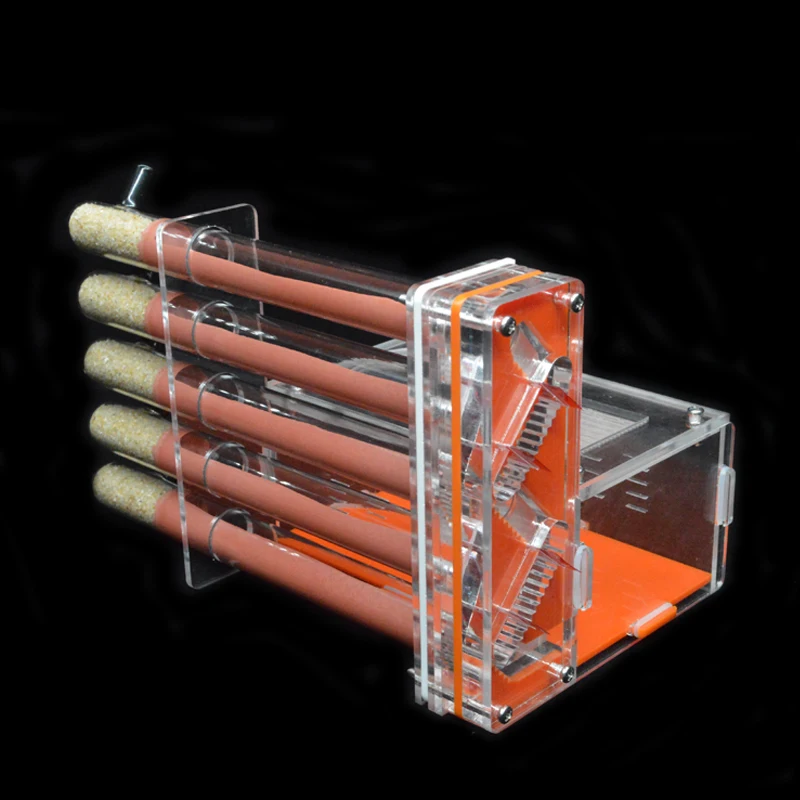 DIY Acrylic Ant Farm 5 pcs 18- - Begonia Rex avis et prix