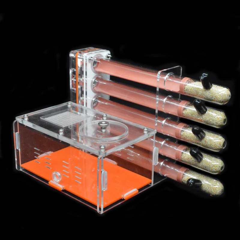 DIY Acrylic Ant Farm 5 pcs 18- - Begonia Rex avis et prix