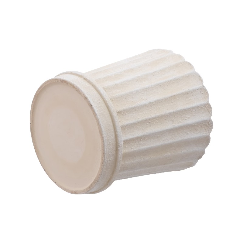 8 Inch Shell Planter Cream Cer - Aloe Vera Pot avis et prix