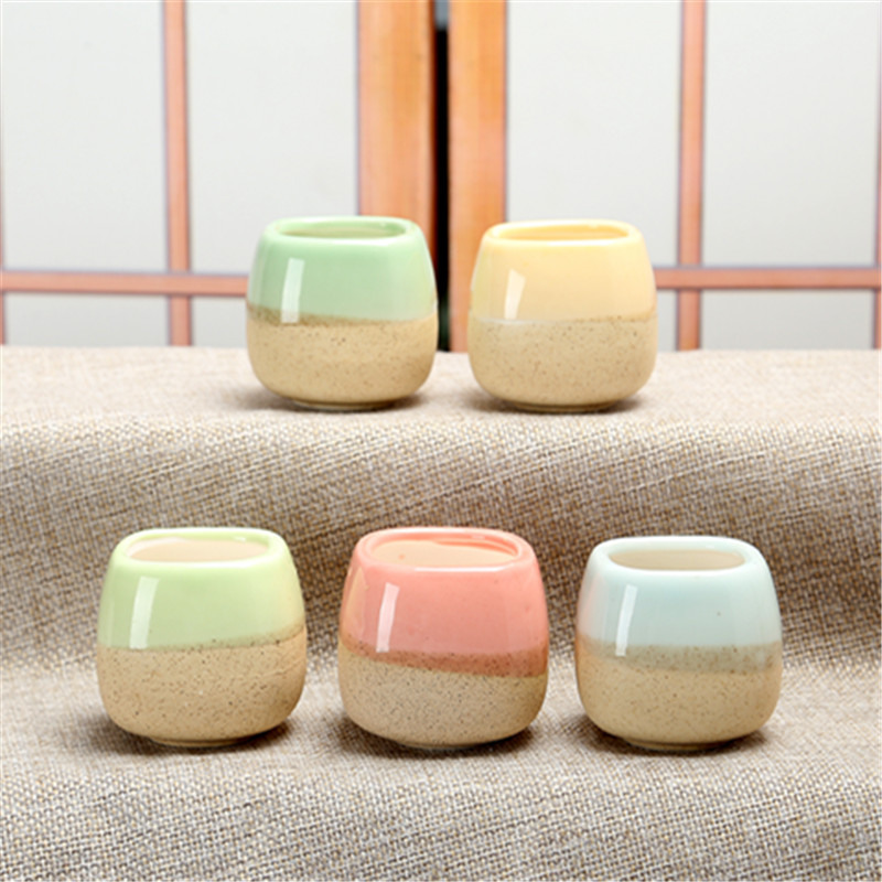 Mini Jelly Shape Cartoon Ceram - Echeveria Succulent avis et prix