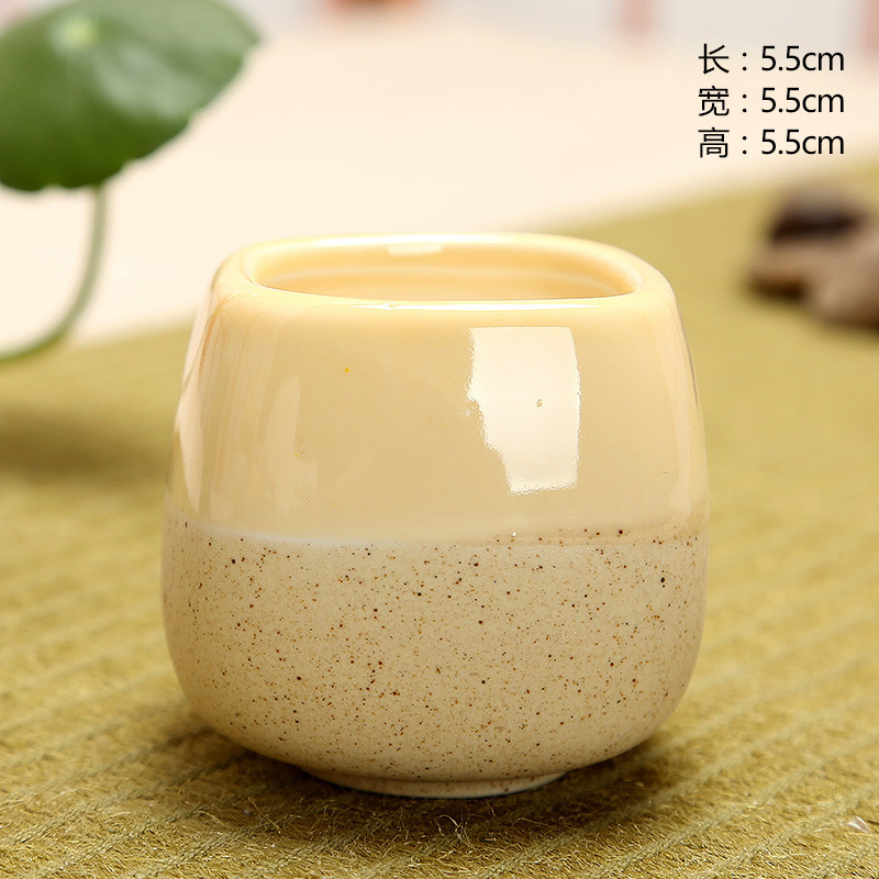 Mini Jelly Shape Cartoon Ceram - Echeveria Succulent avis et prix