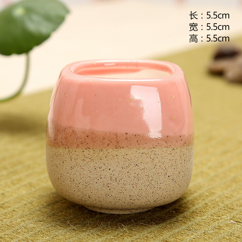 Mini Jelly Shape Cartoon Ceram - Echeveria Succulent avis et prix