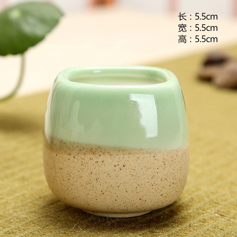 Mini Jelly Shape Cartoon Ceram - Echeveria Succulent avis et prix