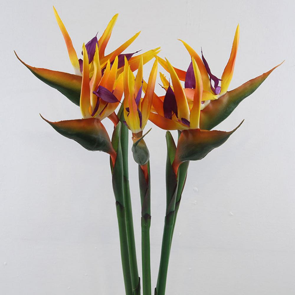 1pc 80cm Flower Bird Of Paradi - Bird Paradise Strelitzia avis et prix