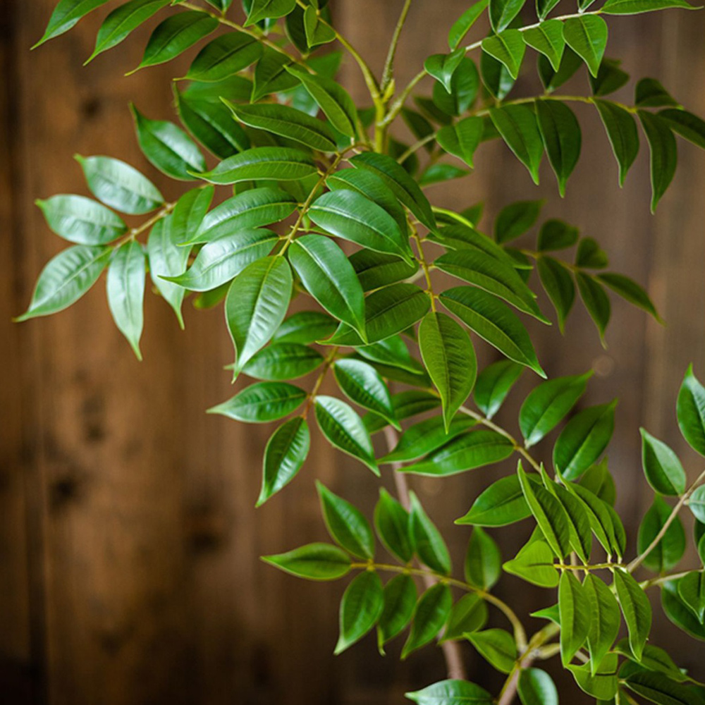 76-140cm Large Artificial Ficu - Ficus Lyrata Tree avis et prix