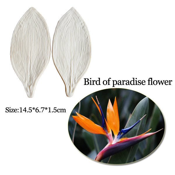 Large Gumpaste Strelitzia Bird - Bird Paradise Strelitzia avis et prix