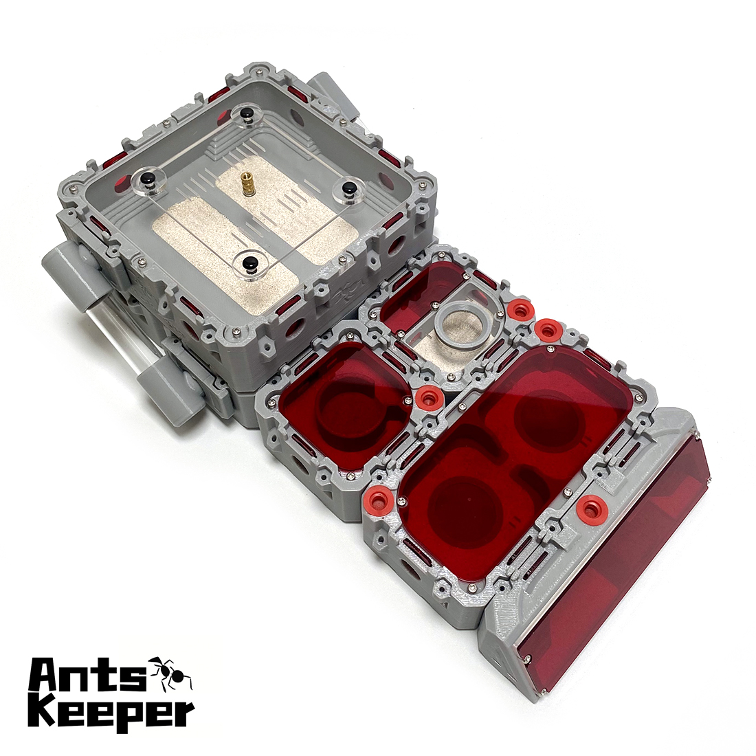 【Lego】Expandable Modular Formi - Begonia Rex avis et prix