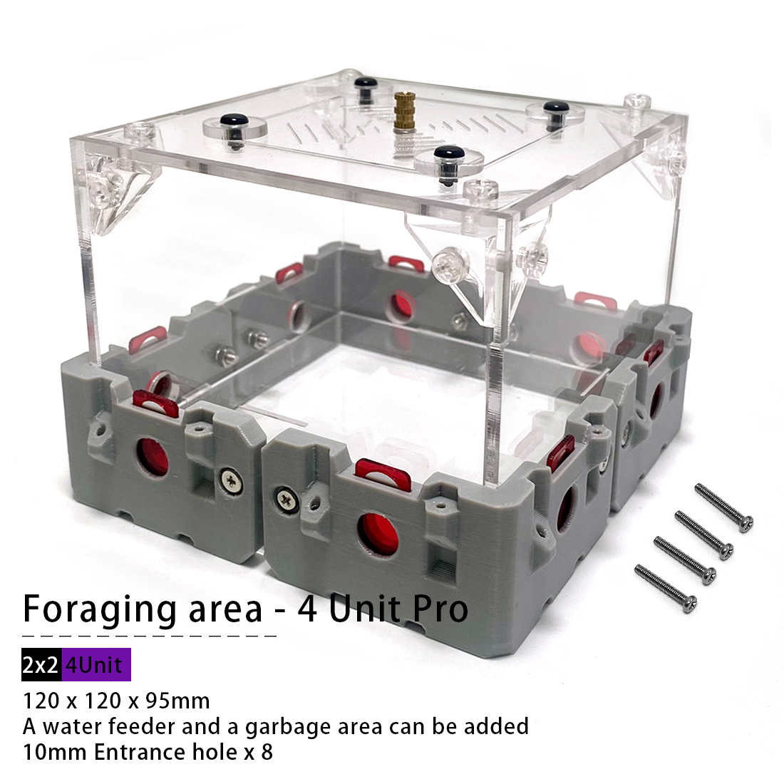 【Lego】Expandable Modular Formi - Begonia Rex avis et prix