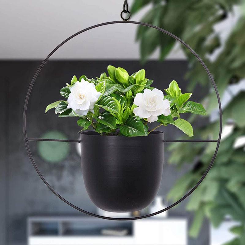 Hanging Iron Art Plant Pots Ba - Spider Plant Hanging avis et prix