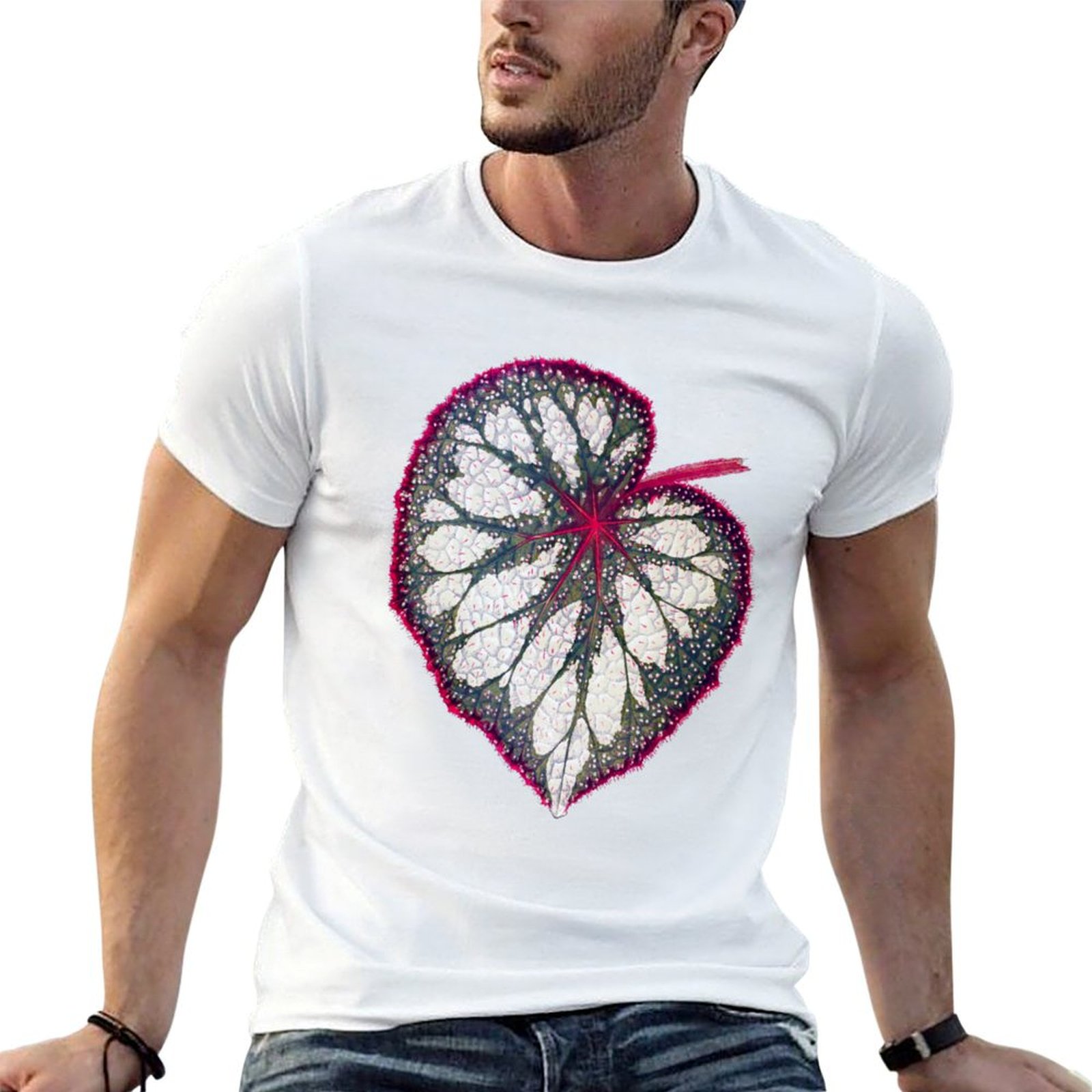 Begonia rex T-Shirt man graphi - Begonia Rex avis et prix