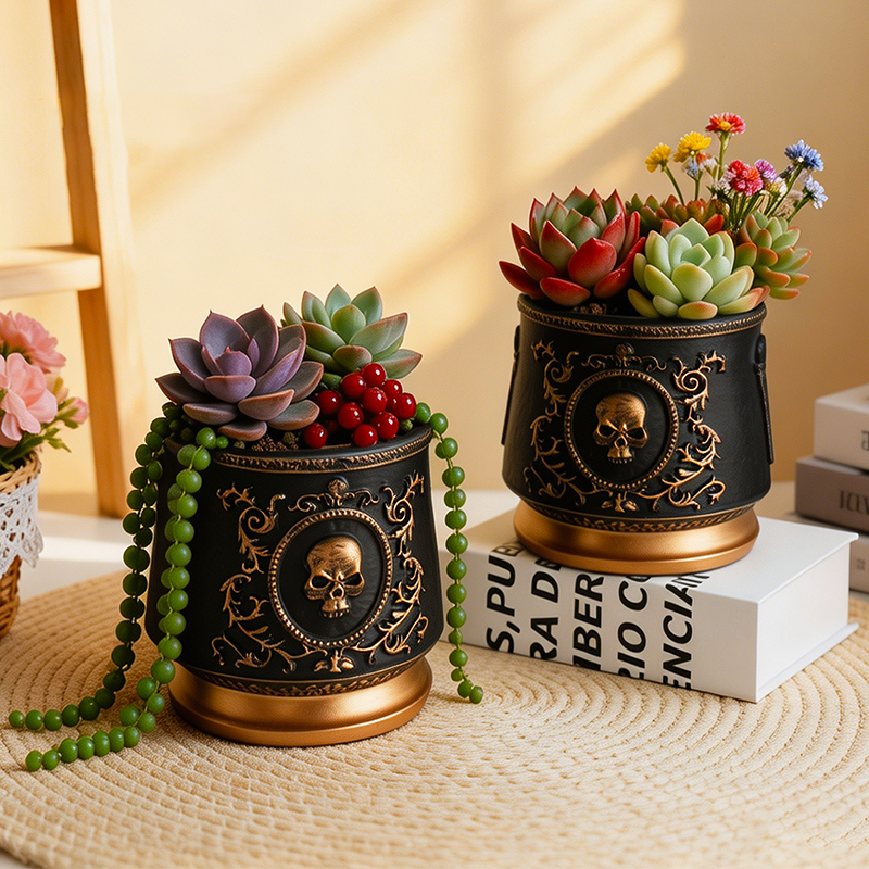 Gothic Skull Embossed Flower P - Echeveria Succulent avis et prix