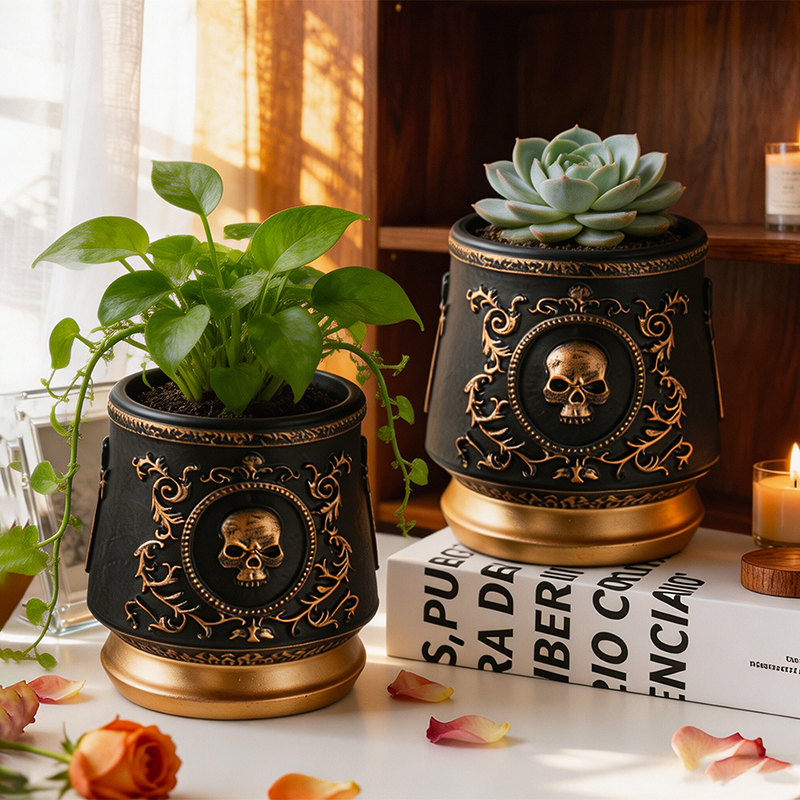 Gothic Skull Embossed Flower P - Echeveria Succulent avis et prix