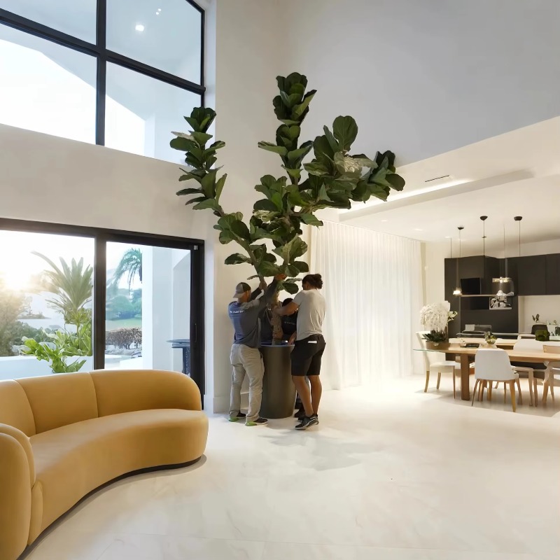 Artificial Plants Indoor Potte - Ficus Lyrata Tree avis et prix