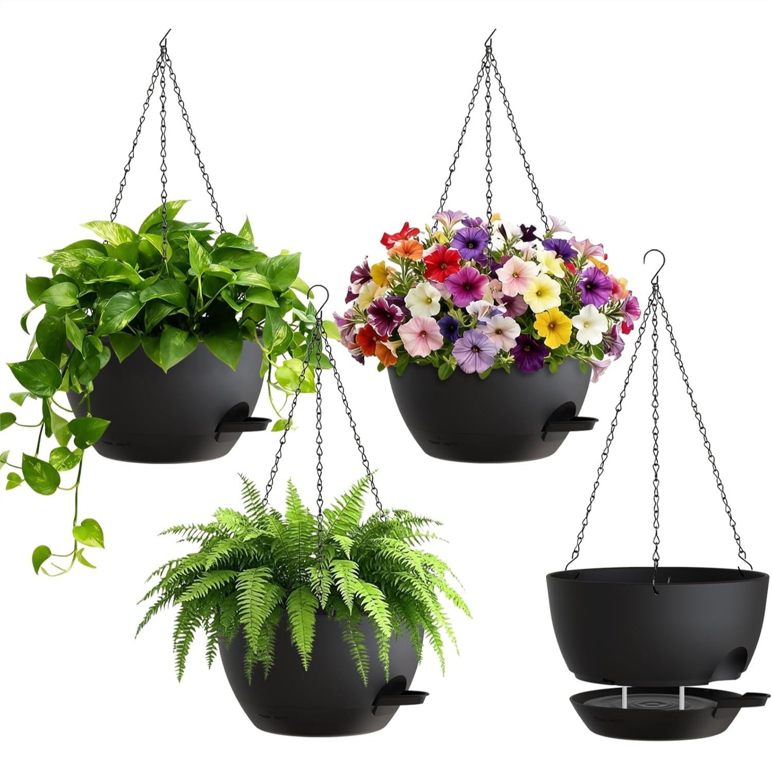 8 Inch Self Watering Hanging P - Spider Plant Hanging avis et prix