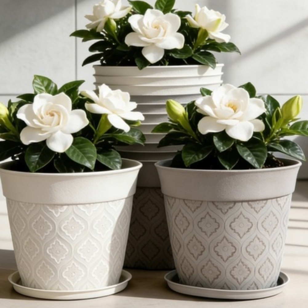 8in Flower Pot With Drainage H - Echeveria Succulent avis et prix