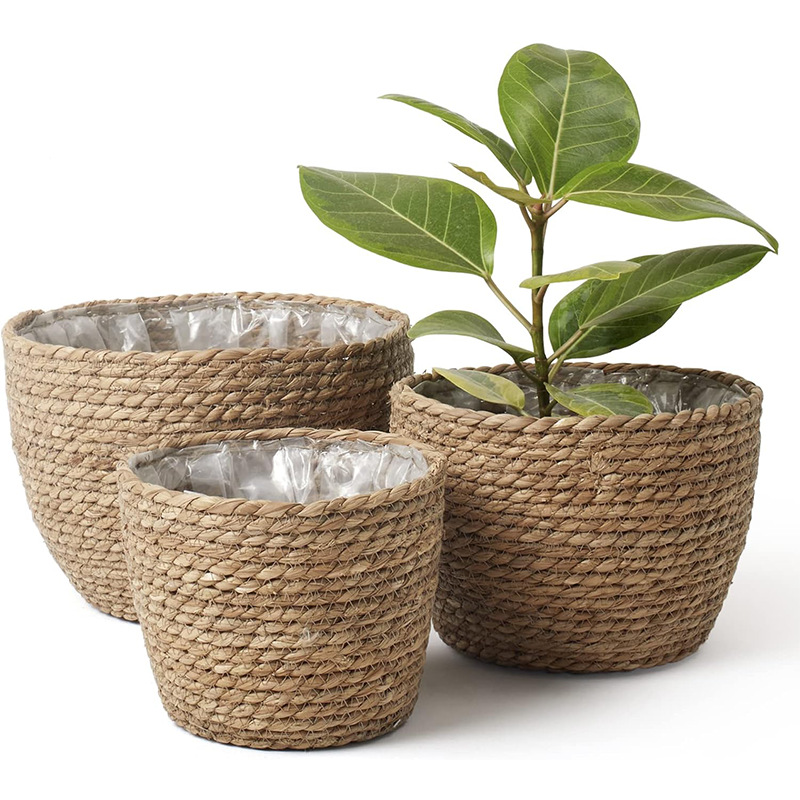 Natural Woven Flower Basket St - Aloe Vera Pot avis et prix