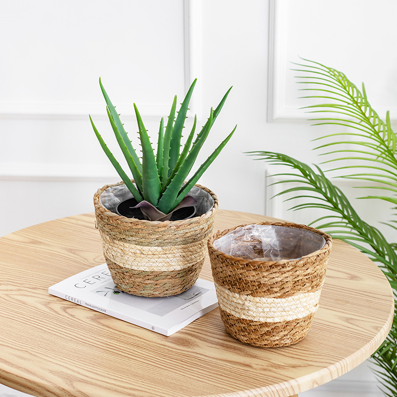 Natural Woven Flower Basket St - Aloe Vera Pot avis et prix