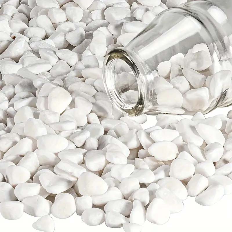 White Pebbles Decorative Stone - Echeveria Succulent avis et prix