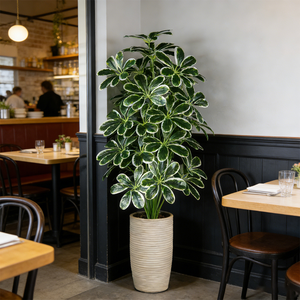 50-75cm Artifficial Maranta Pl - Dracaena Marginata avis et prix