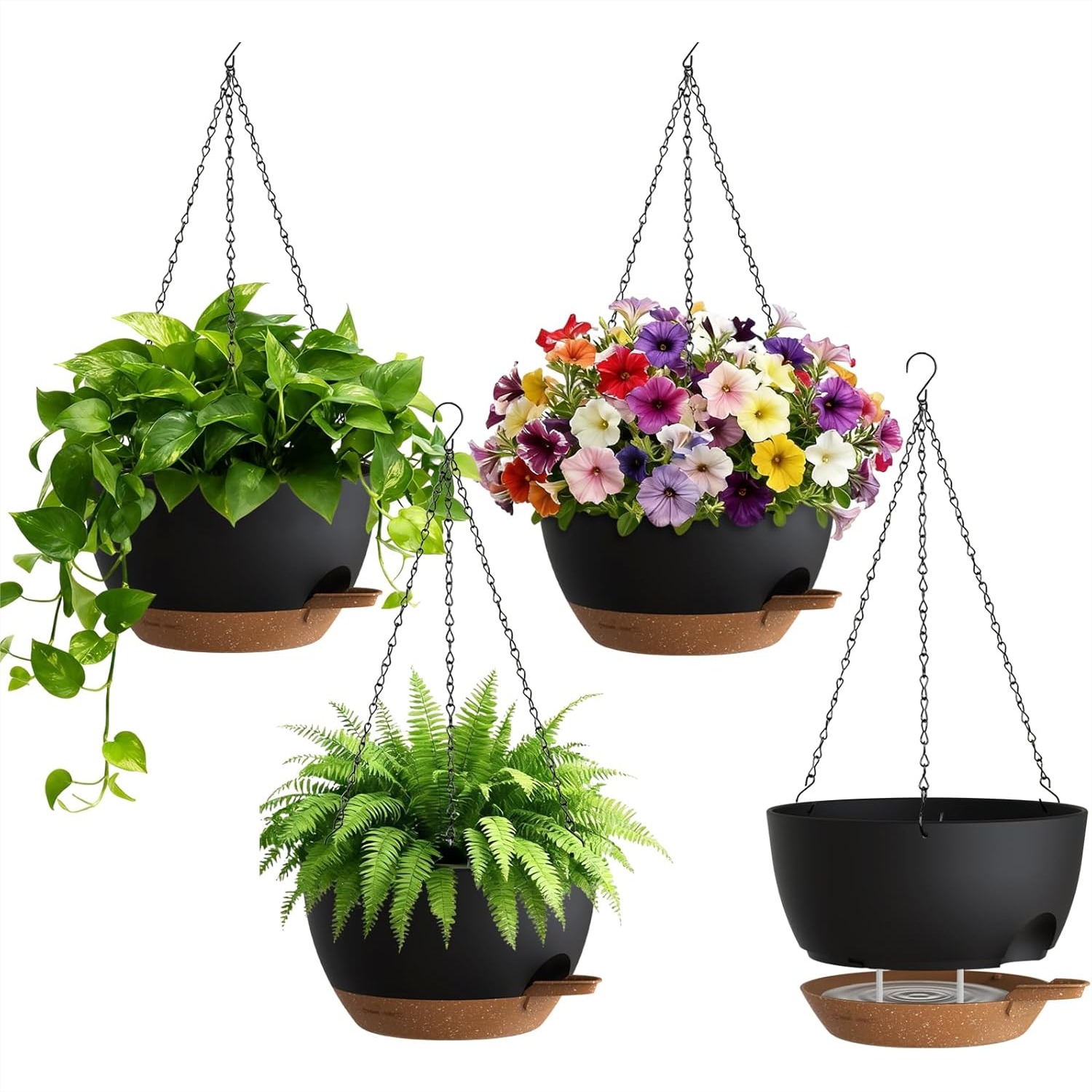 Self Watering Hanging Planters - Spider Plant Hanging avis et prix