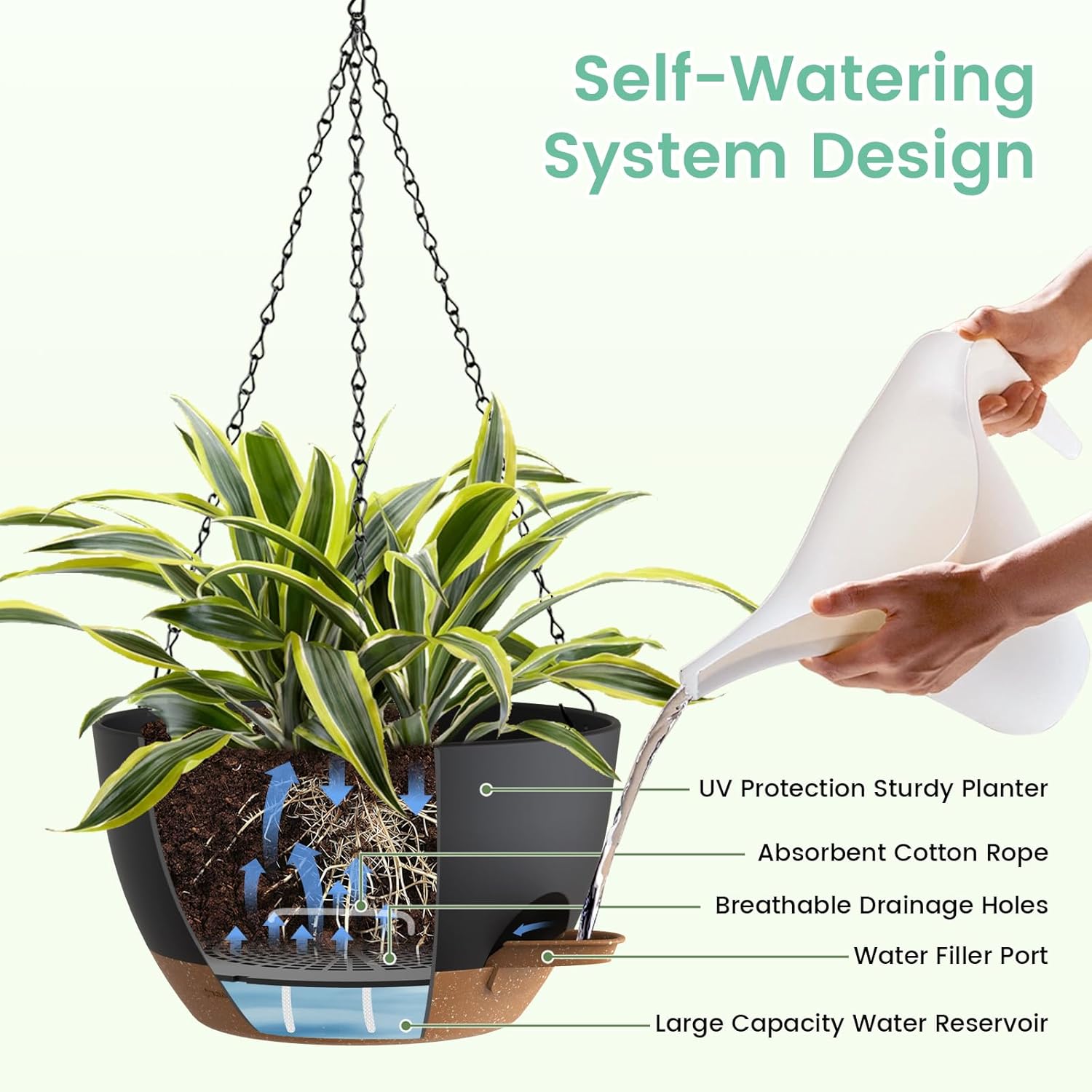 Self Watering Hanging Planters - Spider Plant Hanging avis et prix