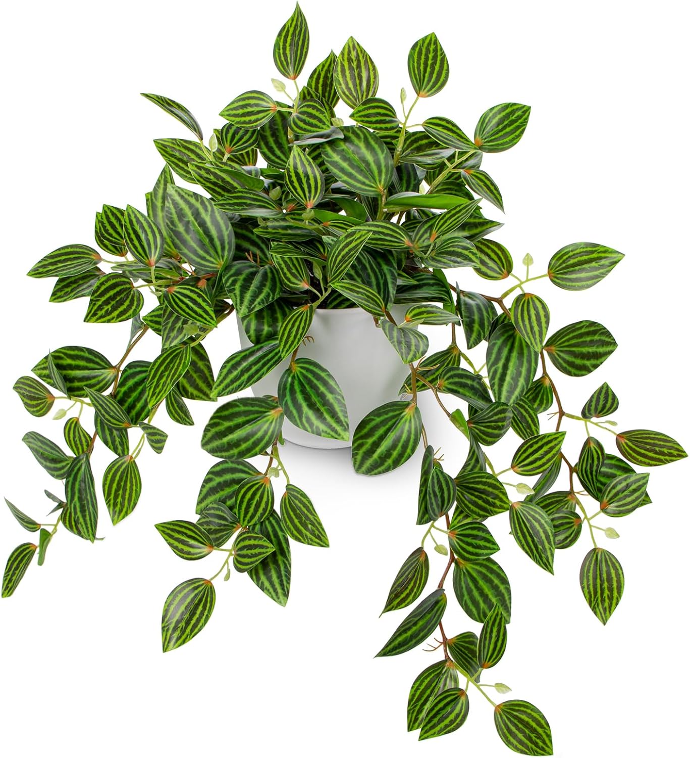 Artificial Plants Indoor Fake  - Peperomia Watermelon avis et prix