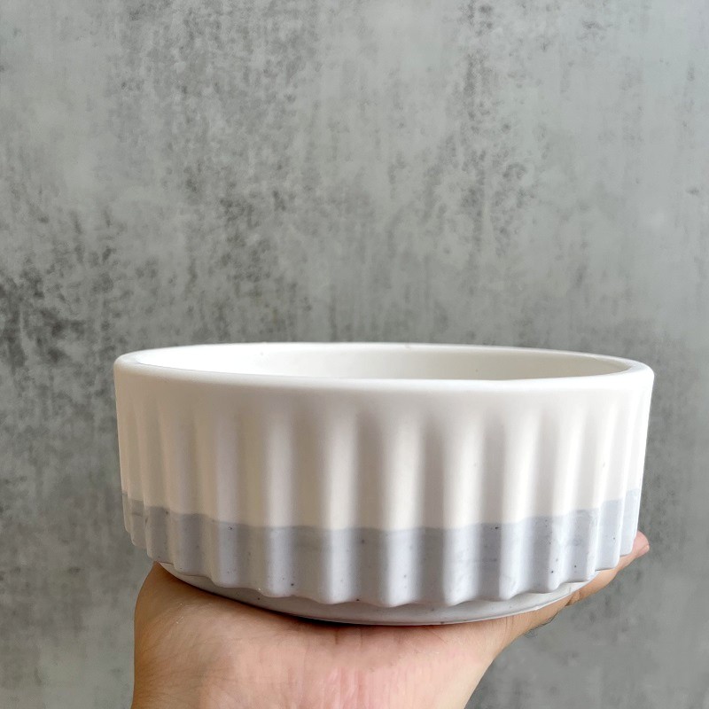 Stripe Flowerpot Silicone Mold - Echeveria Succulent avis et prix