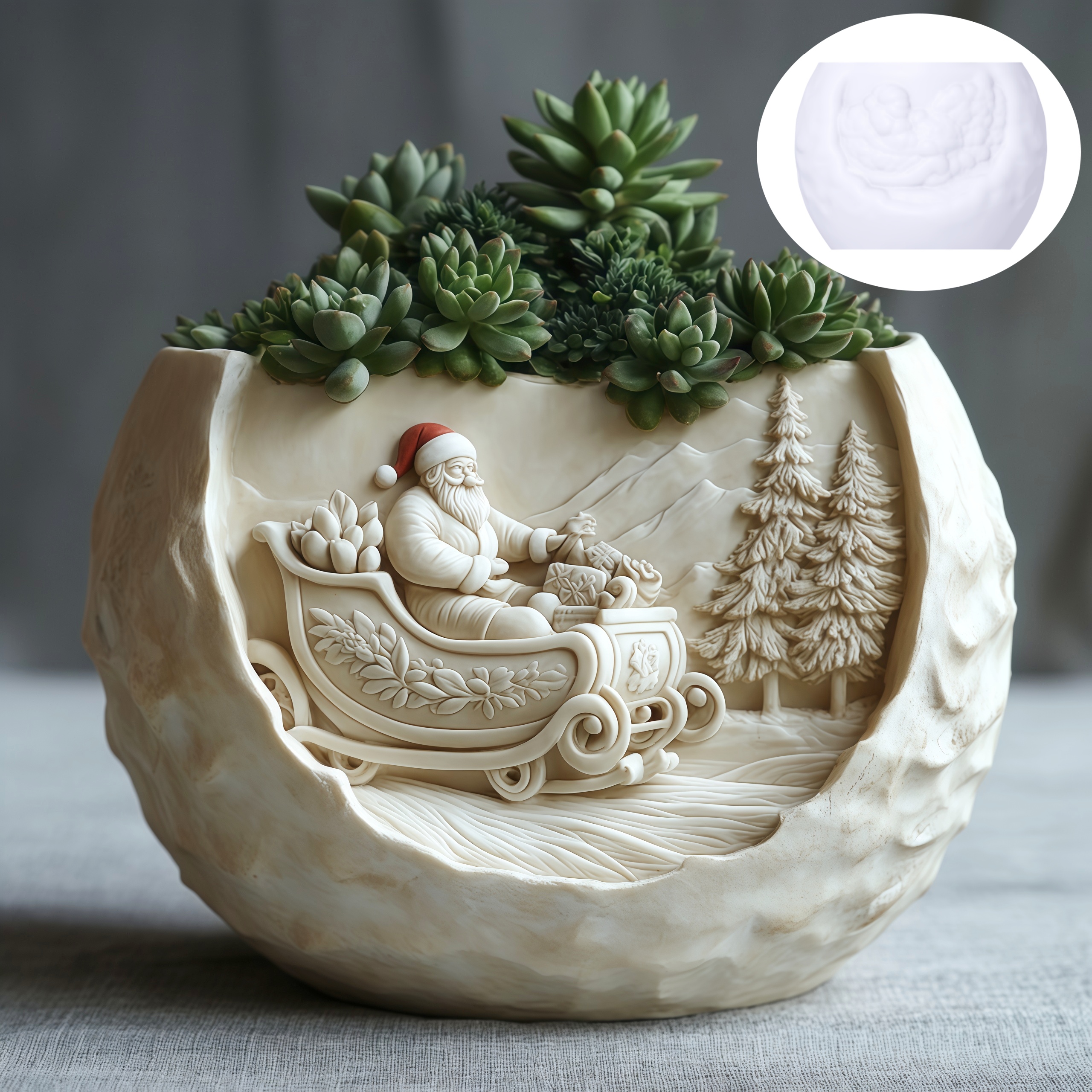 Cedar Sled Santa Claus Relief  - Echeveria Succulent avis et prix