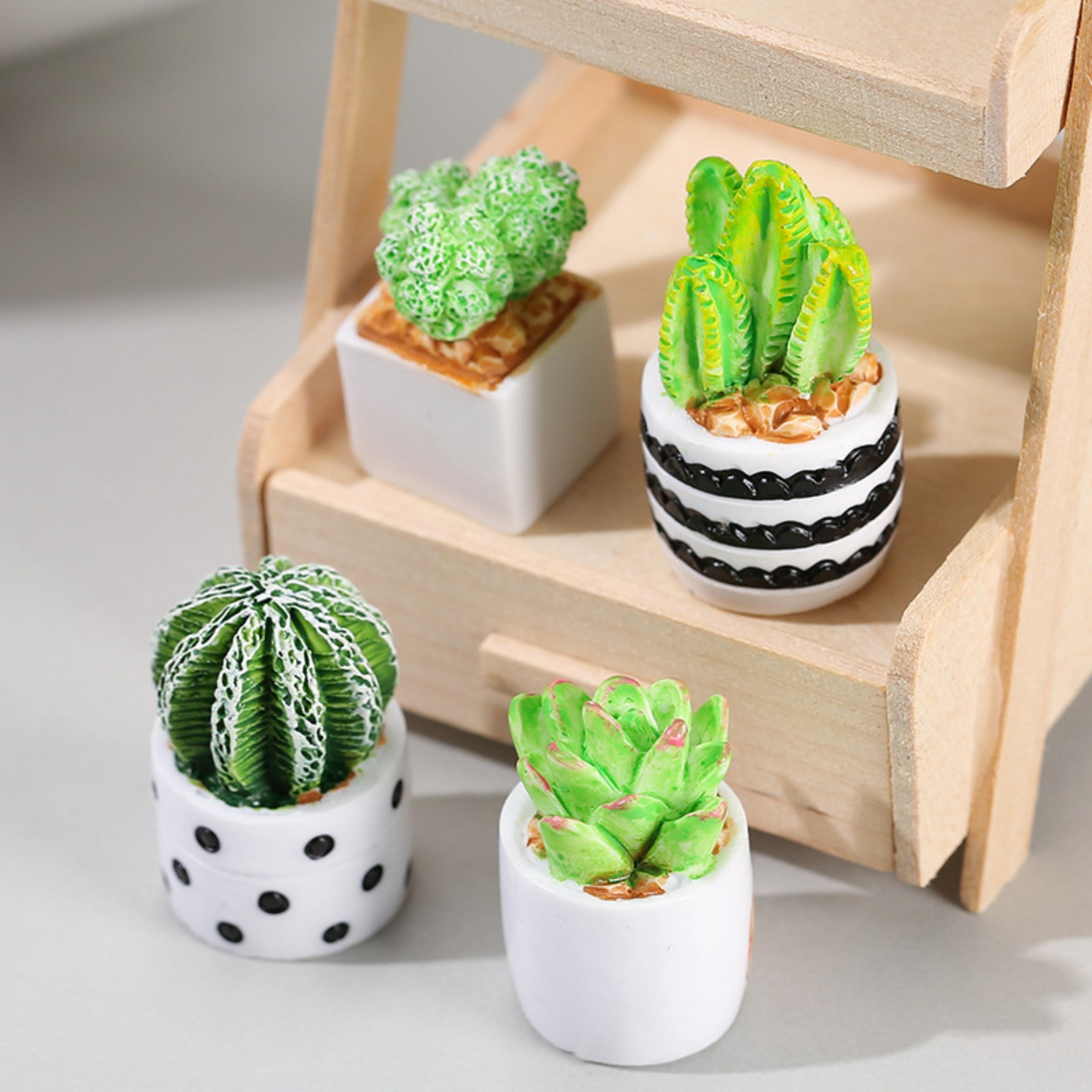 4-Piece Set of Cactus Succulen - Echeveria Succulent avis et prix