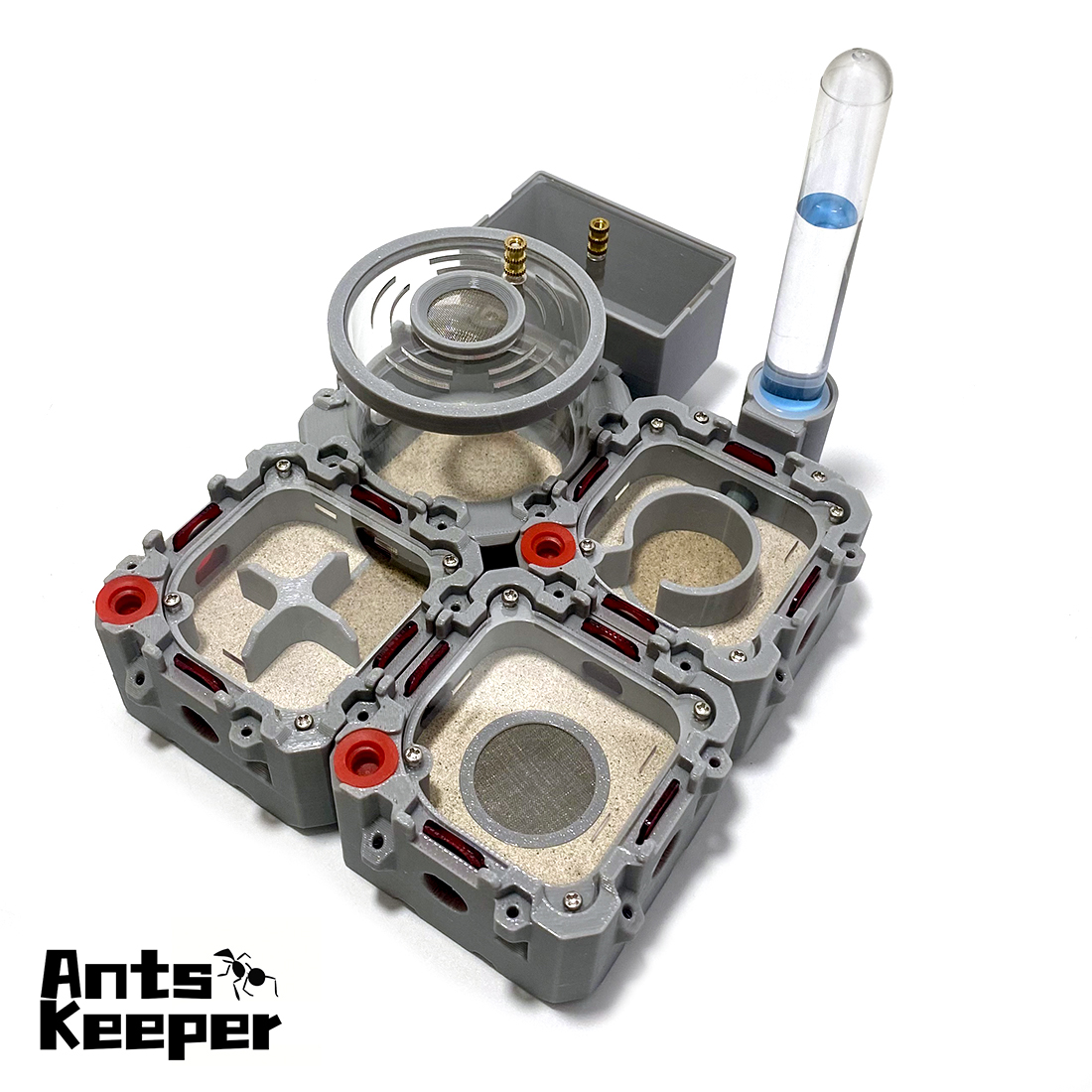 【Lego】Expandale Modular Formic - Begonia Rex avis et prix