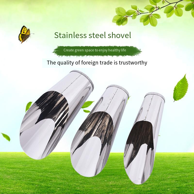 Stainless Steel Bucket Shovel  - Echeveria Succulent avis et prix