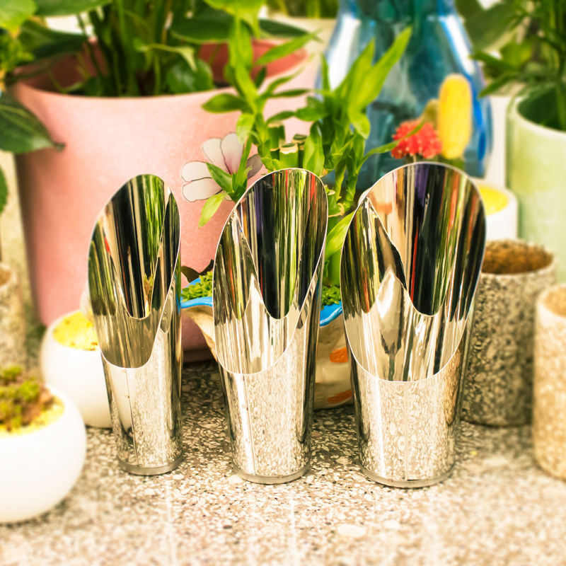 Stainless Steel Bucket Shovel  - Echeveria Succulent avis et prix