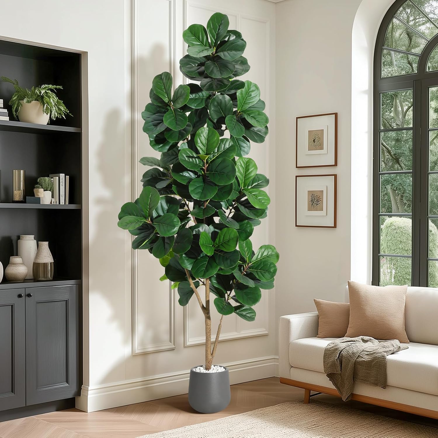 4FT/5FT/6FT/7FT Fiddle Leaf Fi - Ficus Lyrata Tree avis et prix