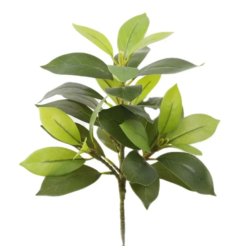 Plastic Artificial Color-chang - Dracaena Marginata avis et prix