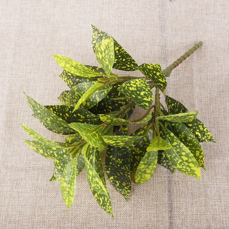 Plastic Artificial Color-chang - Dracaena Marginata avis et prix