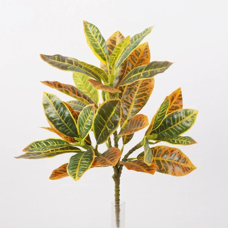 Plastic Artificial Color-chang - Dracaena Marginata avis et prix