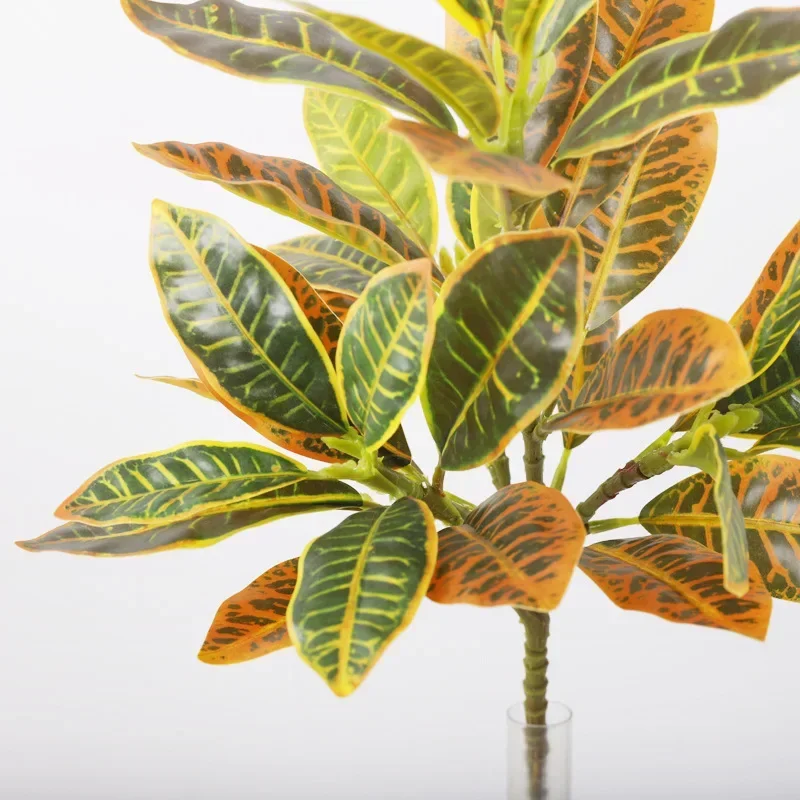 Plastic Artificial Color-chang - Dracaena Marginata avis et prix