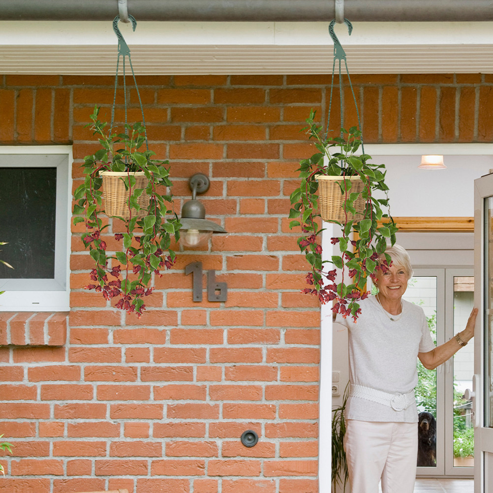 5Pcs Hanging Planter Hooks Ver - Spider Plant Hanging avis et prix