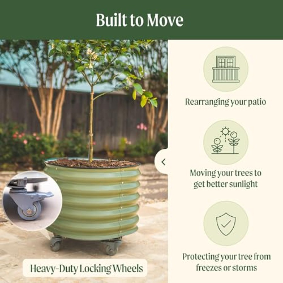 Self-Watering Rolling Metal Ci - Aloe Vera Pot avis et prix