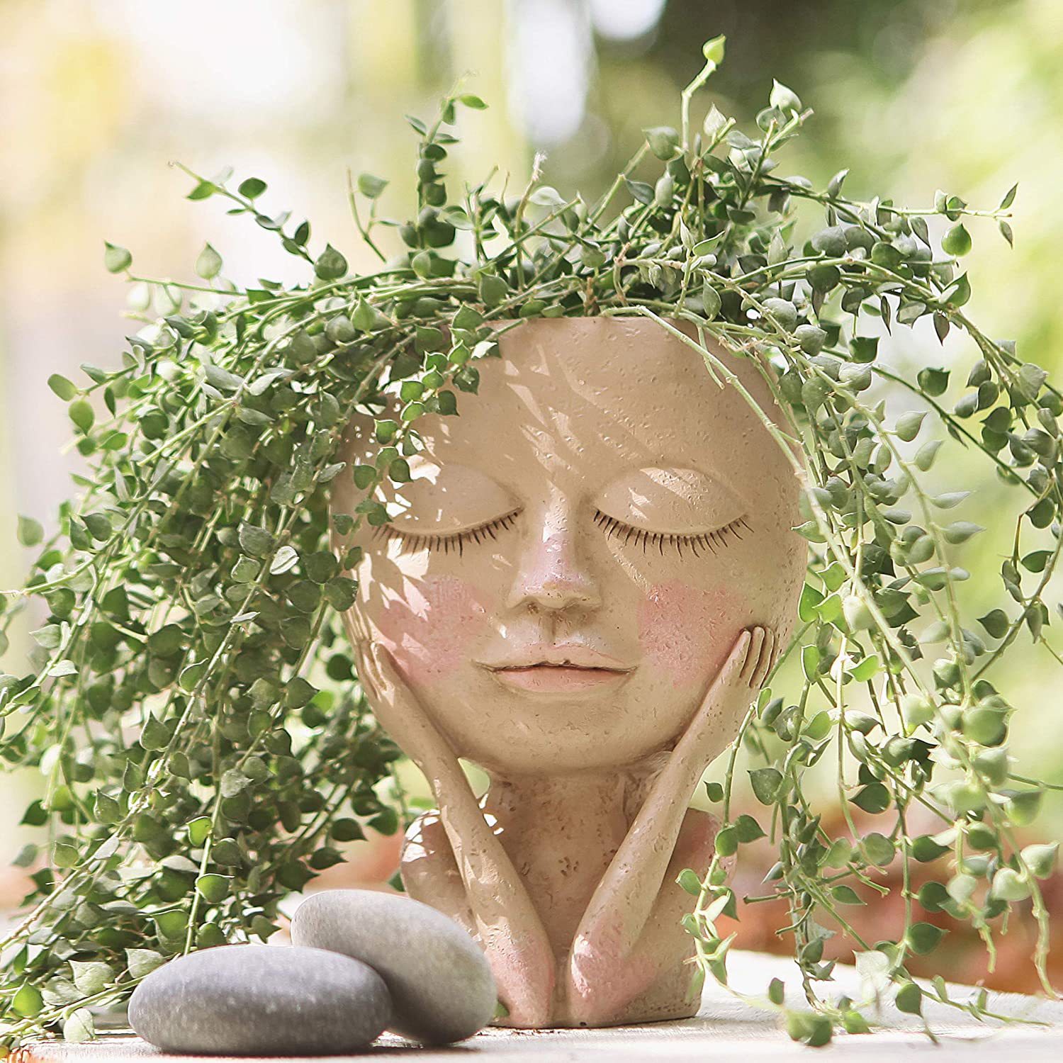 Girls Face Head Flower Planter - Echeveria Succulent avis et prix