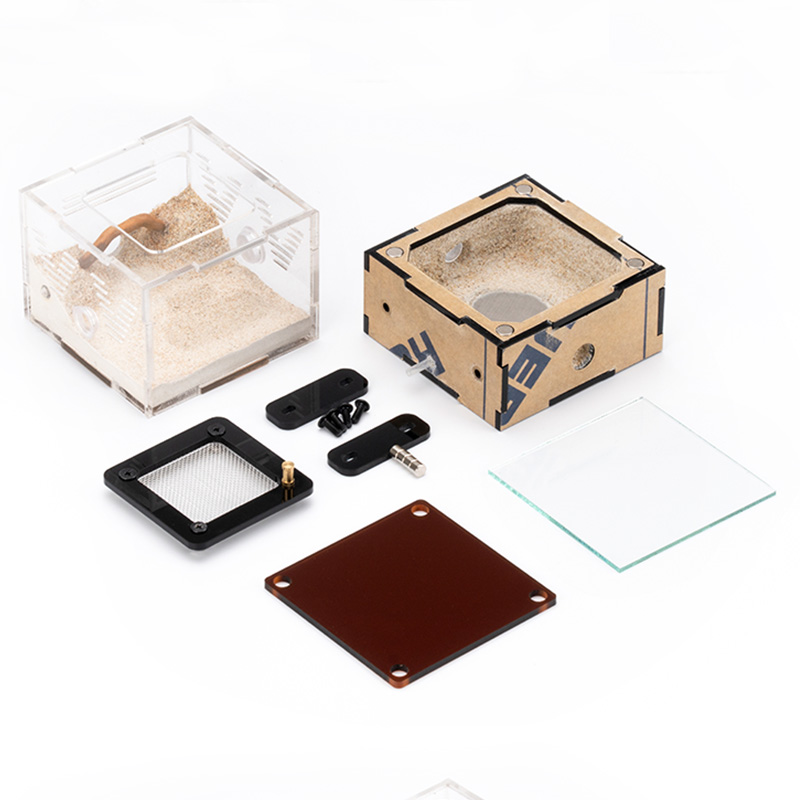 Unlimited Expansion Ant Farm H - Begonia Rex avis et prix
